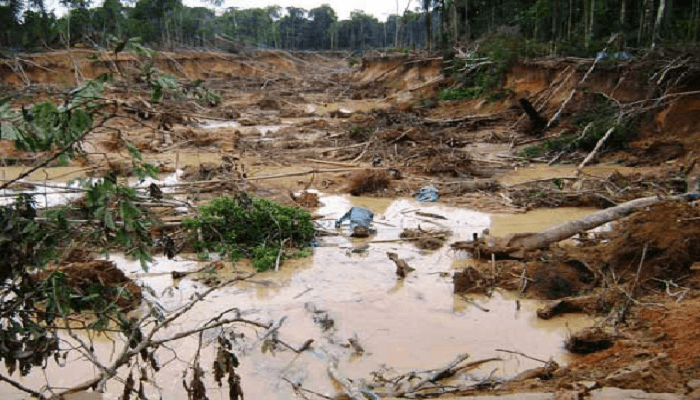 Alarma ambiental: nueva mina ilegal amenaza el Parque Canaima