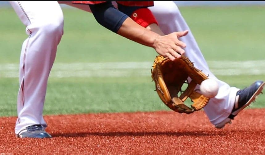 Cinco jóvenes prospectos venezolanos brillan en el béisbol internacional