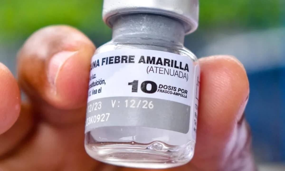 Vacunación obligatoria contra fiebre amarilla para temporadistas en 4 estados