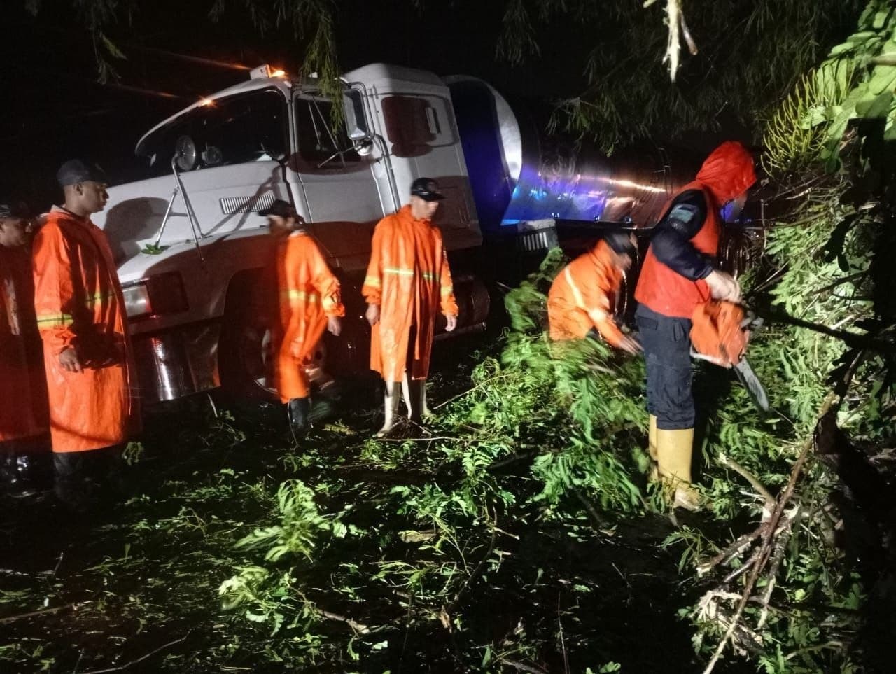 Onda Tropical en Portuguesa: Vientos Fuertes Causan Tragedia