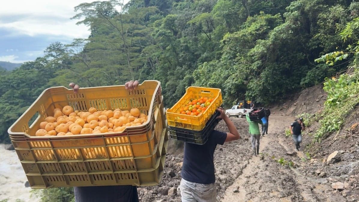 Productores del Táchira enfrentan deslaves y riesgo de olvidar sus cosechas