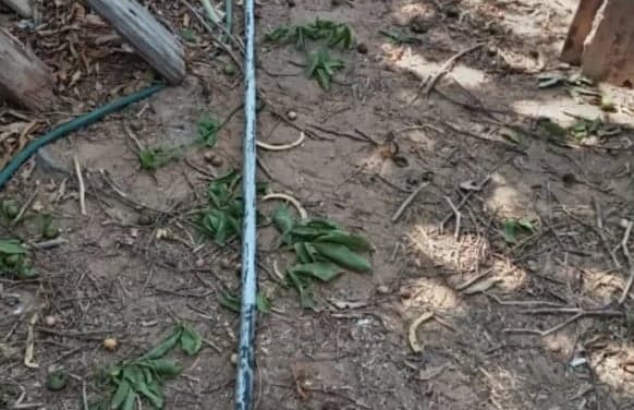 Tragedia en Falcón: Estudiante de medicina fallece por electrocución