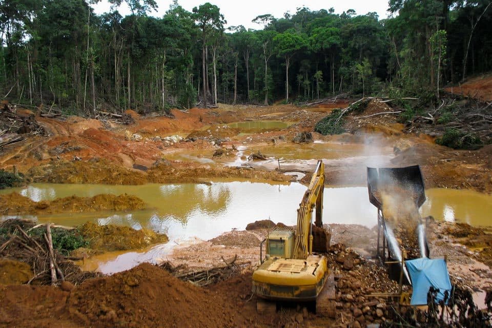 Fritz Sánchez: Necesario frenar la minería ilegal en Venezuela