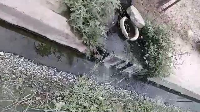 Cloacas desbordadas en Barinas: crisis sanitaria en Mi Futuro