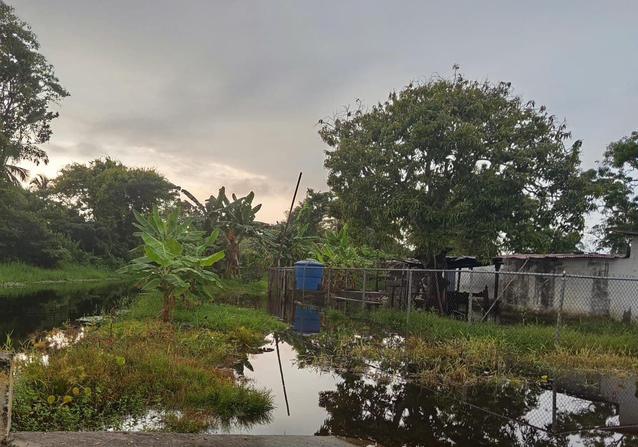 Palmarito: Inundaciones y Crisis de Servicios Agravan Situación Local