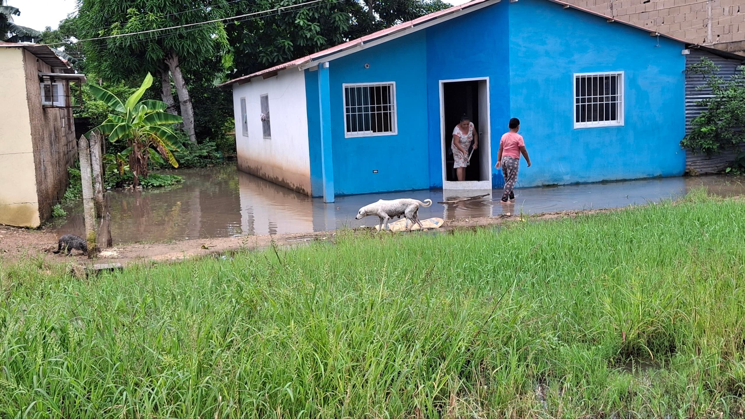Más de 50 hogares afectados por inundaciones en Maturín tras lluvias