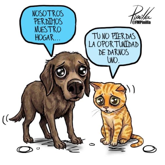 Las Caricaturas del 6 de agosto 2026: Un Reflejo de la Realidad Venezolana