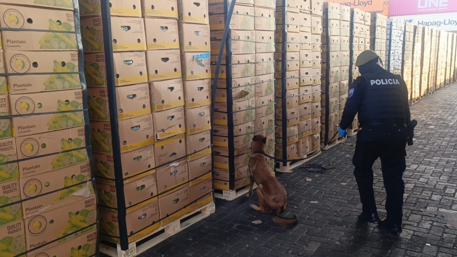 Descubren 1,2 toneladas de drogas en Ecuador con destino a España