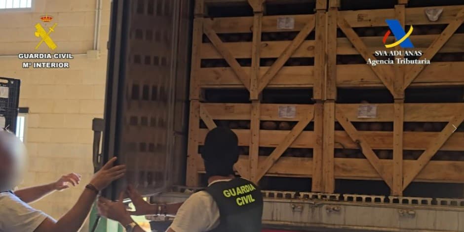 Desmantelan red de narcotráfico: 1.283 kilos de cocaína en cocos