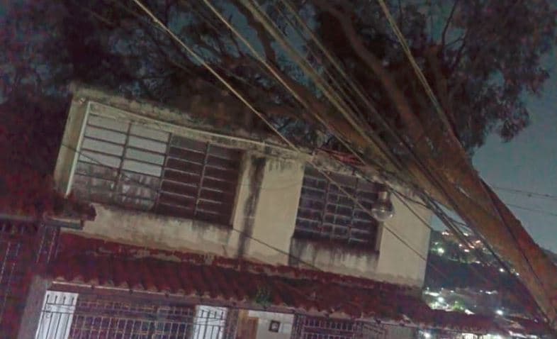 Un árbol de 20 metros cae sobre vivienda en Petare: un peligro latente