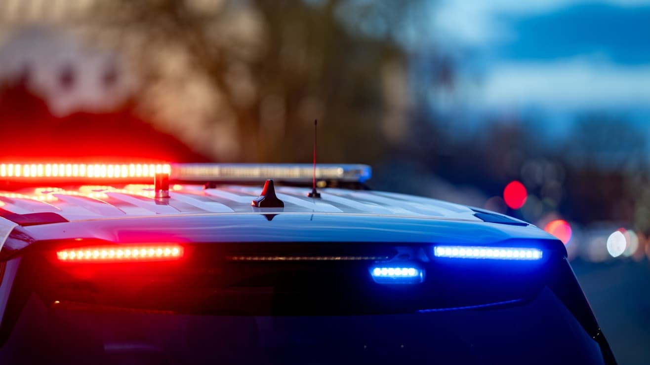 Desgarrador llamado de un hombre de 69 años antes de ser apuñalado en Long Island