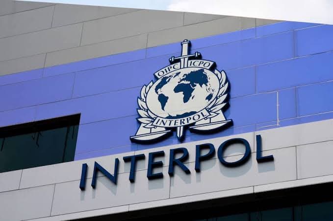 Interpol Alertó sobre la Aumento de la Explotación Sexual Infantil