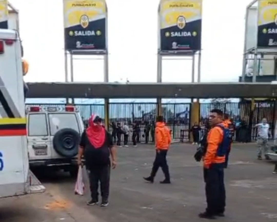Enjambre de abejas provoca pánico en estadio de Pueblo Nuevo