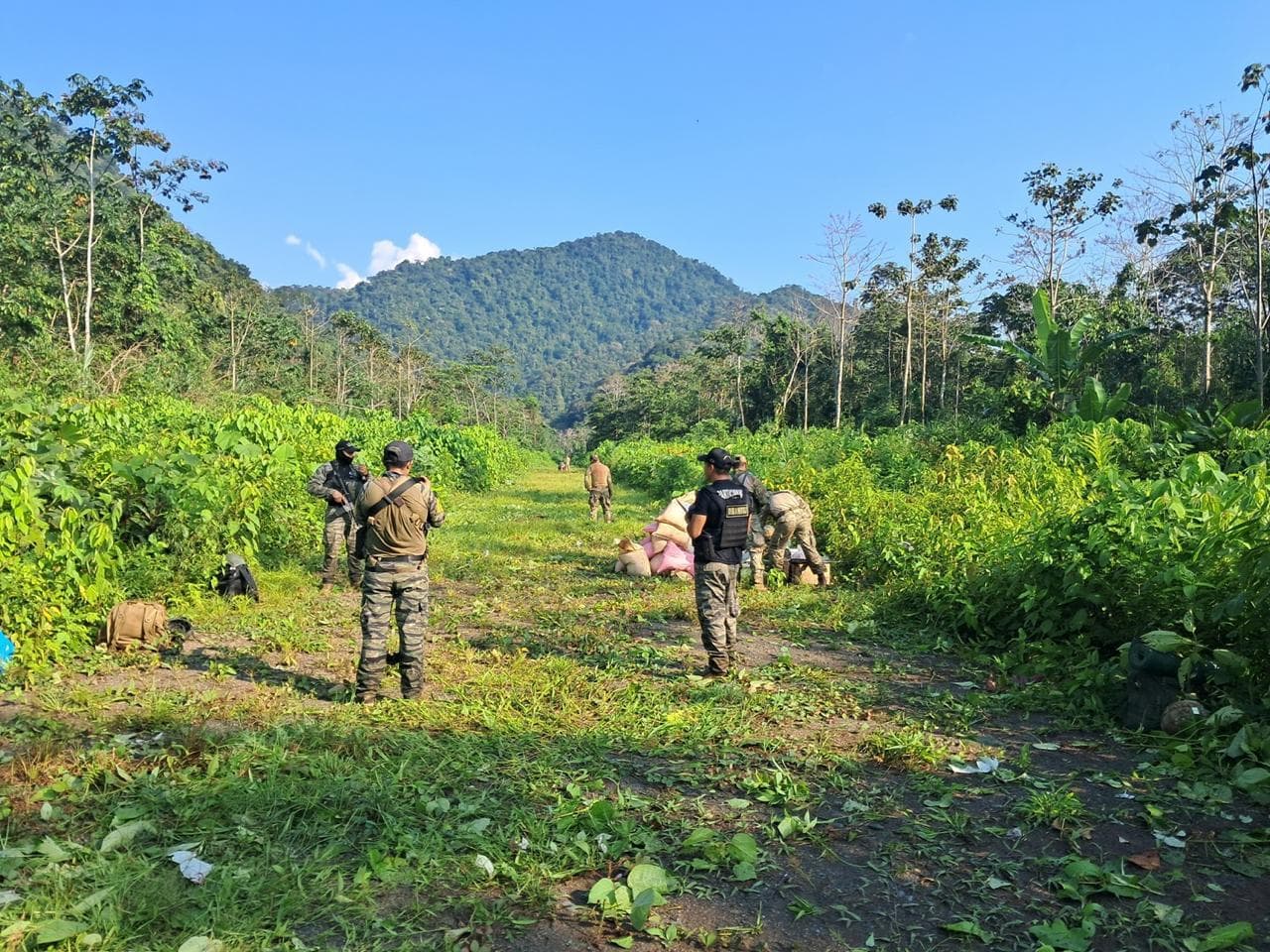 Perú asesta un fuerte golpe al narcotráfico destruyendo pistas clandestinas