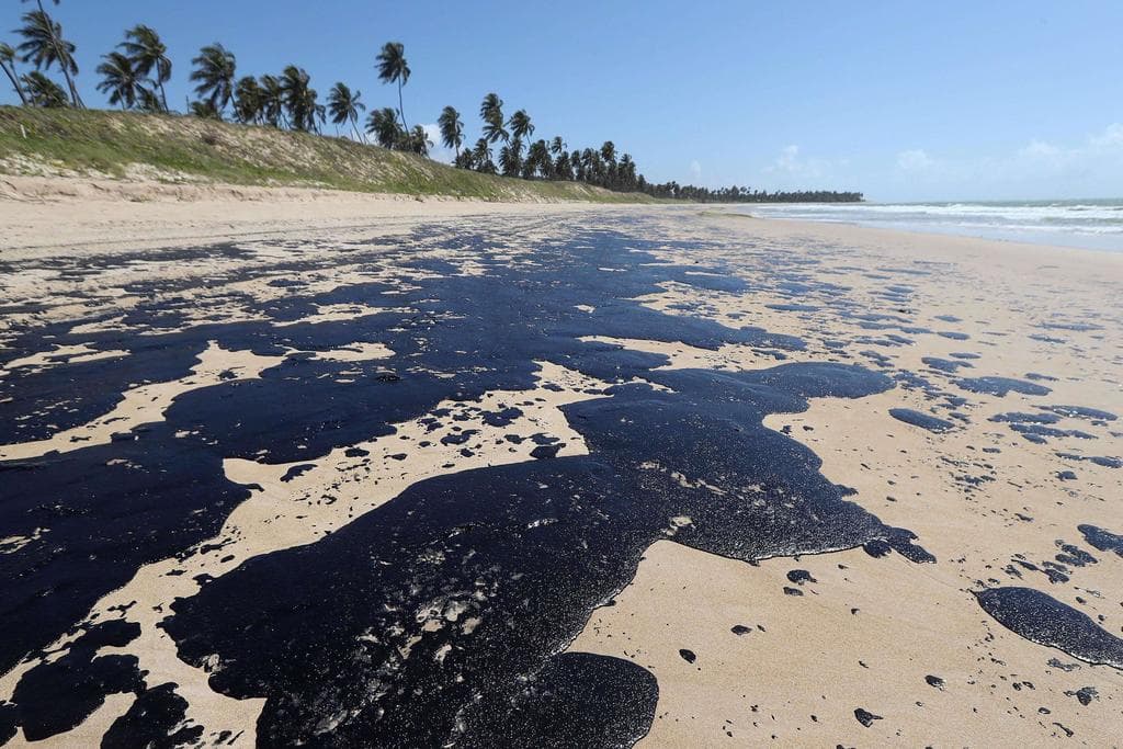 ONGs Demandan Protección Ambiental en Venezuela ante Acuerdo Petrolero