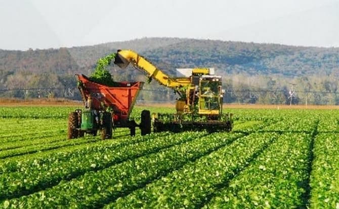La Agroindustria Venezolana Espera Aumentar Exportaciones Gracias al Petróleo