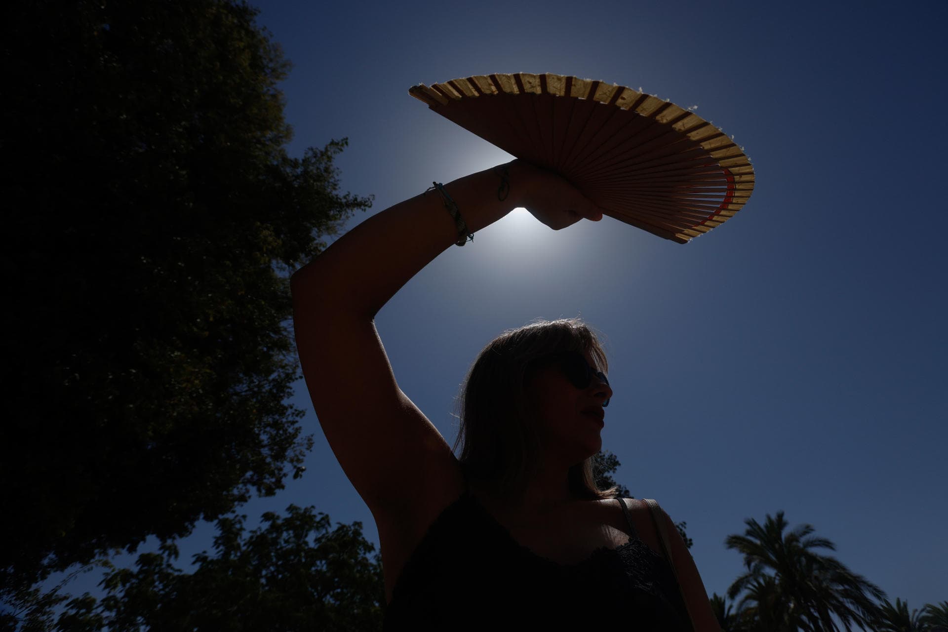 Impacto del Calor Extremo: ¿Cómo Afectará a Venezuela para 2050?