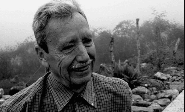 ¡Una gallina echada!