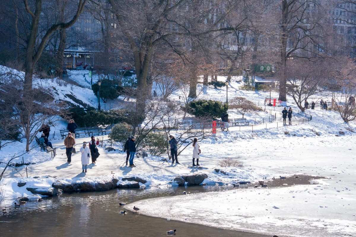 Alerta en Nueva York: El frío polar podría romper récords este fin de semana