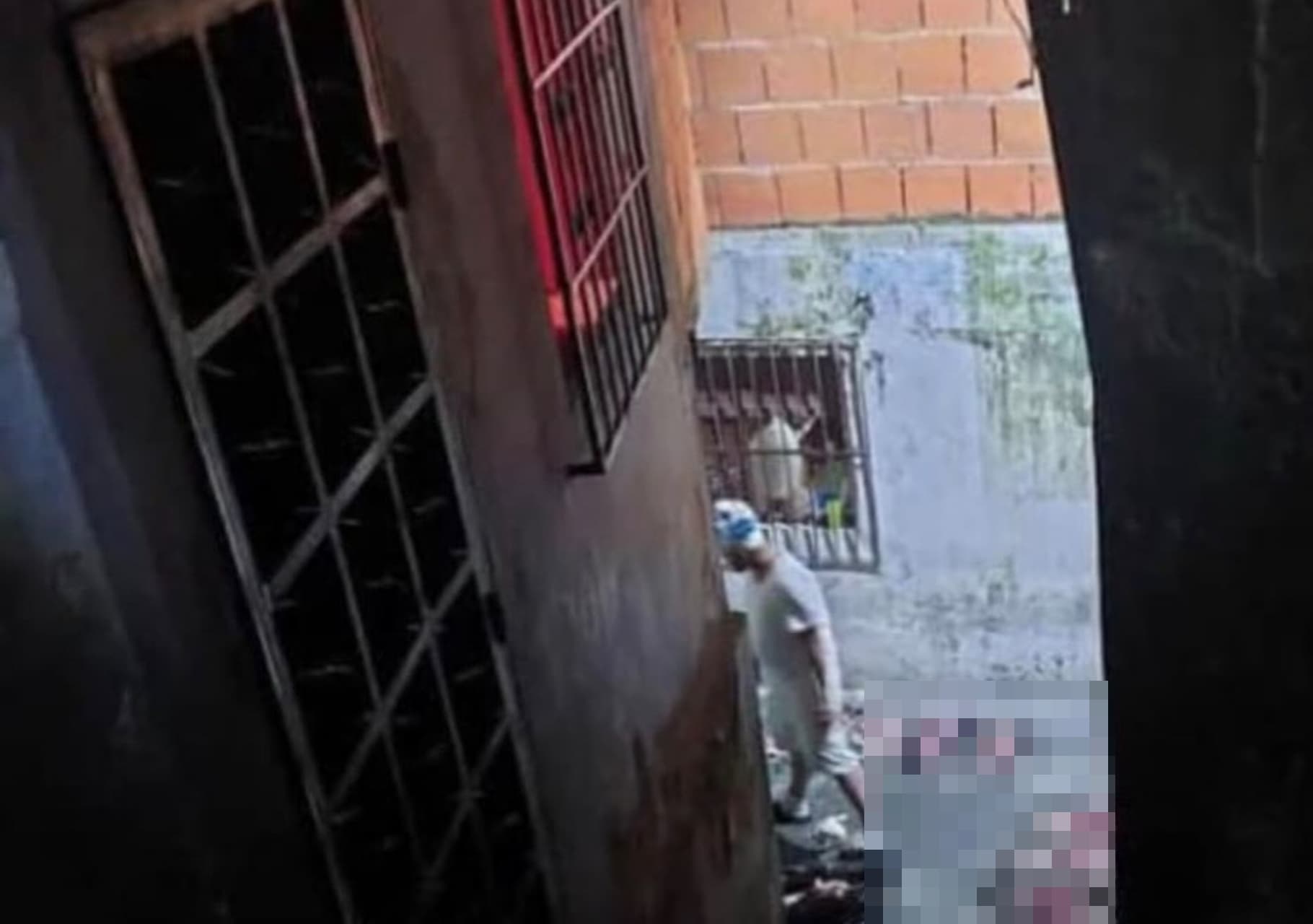 Ministerio Público de Venezuela Investiga Matadero de Gatos en Carapita