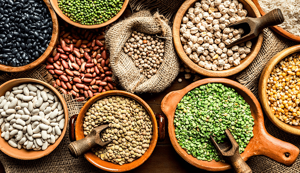 Las Legumbres: Aliadas para Nutrir al Hombre y al Planeta