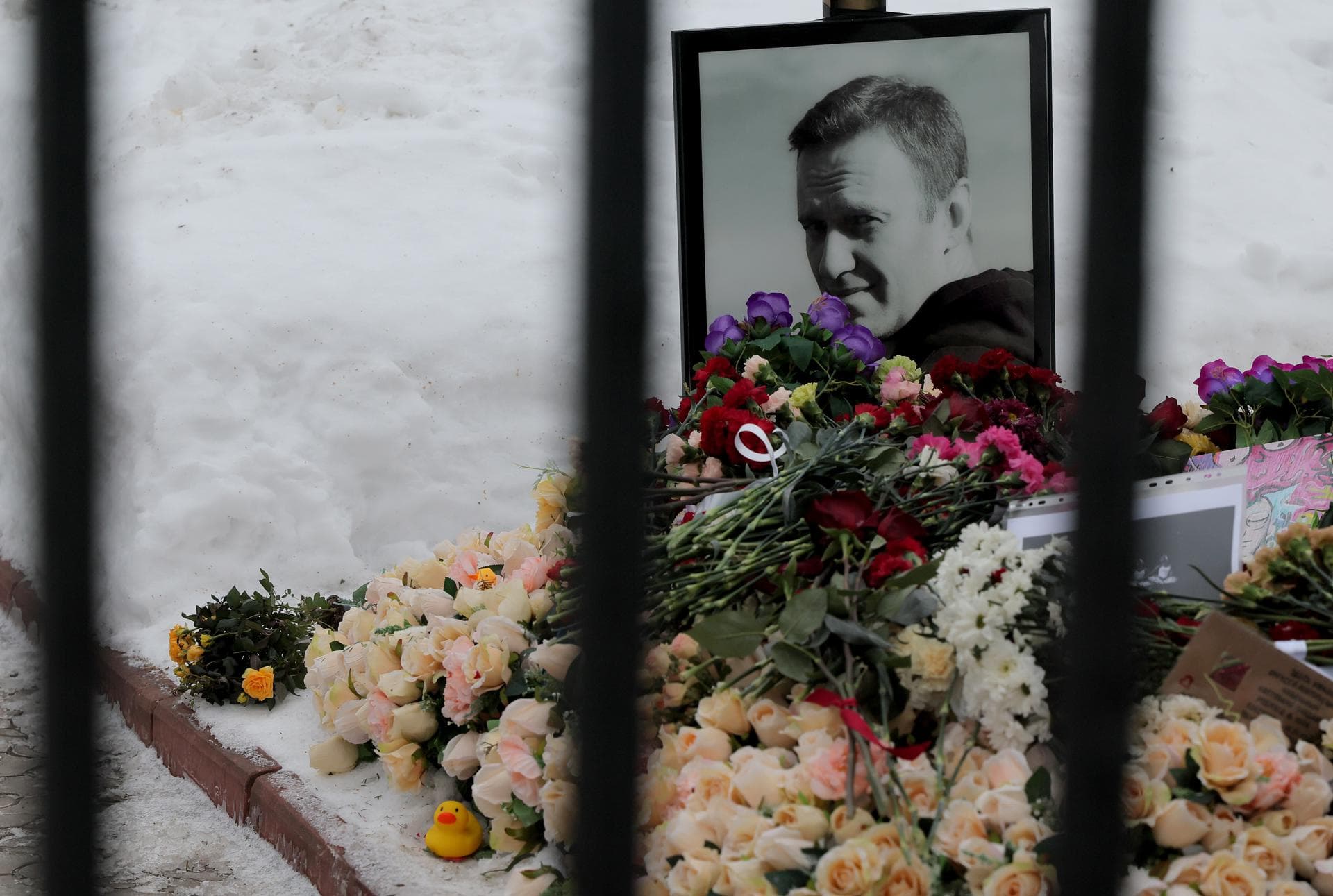 Kremlin desmiente acusaciones de envenenamiento de Navalny en prisión