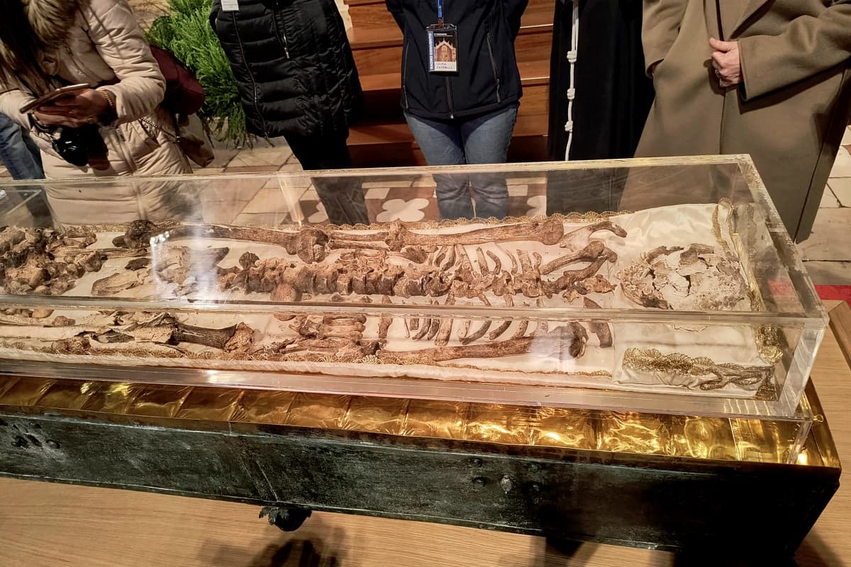 Cientos de miles de peregrinos rinden homenaje a San Francisco de Asís