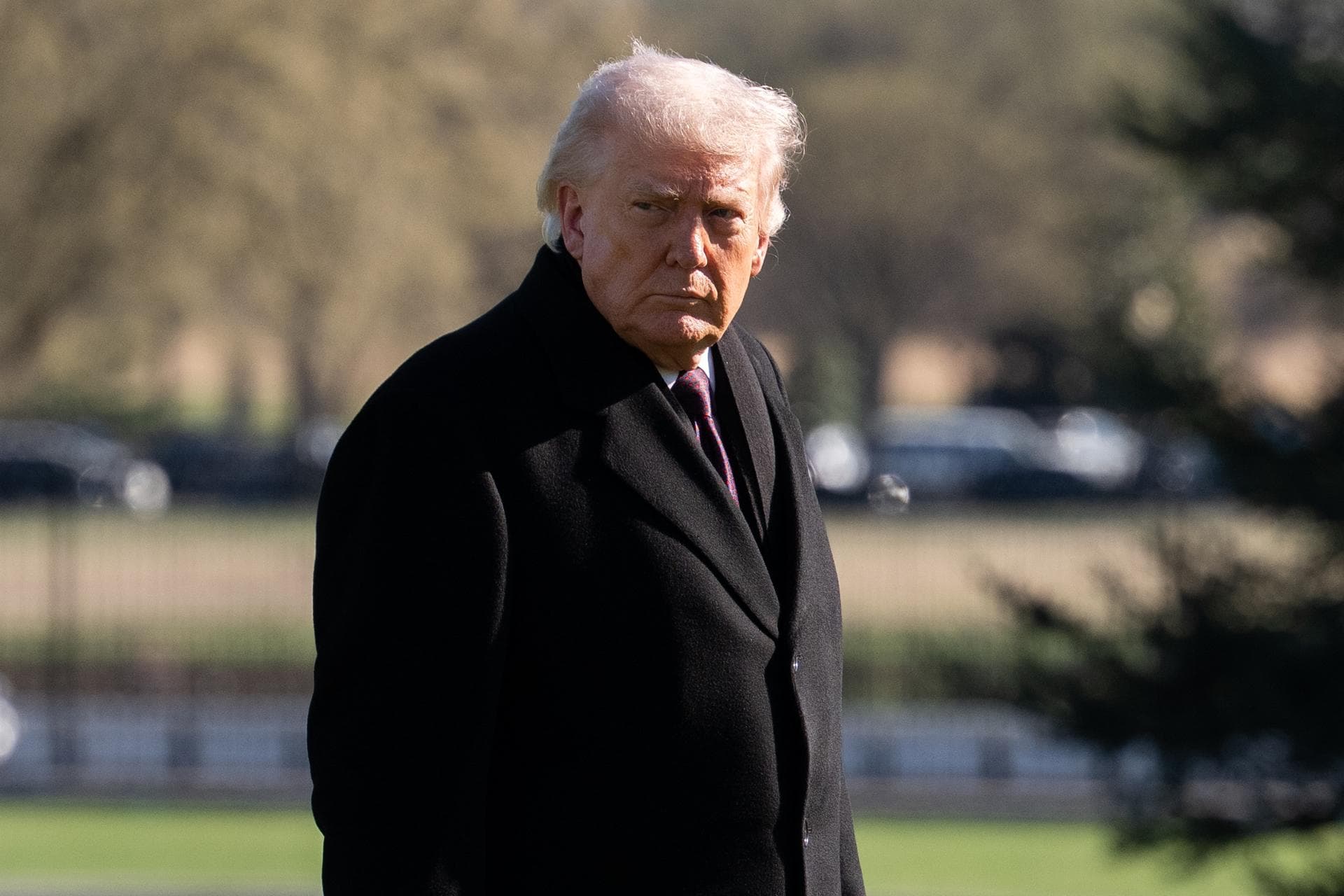 Cómo Donald Trump Puede Ayudar a Restaurar la Grandeza de Venezuela