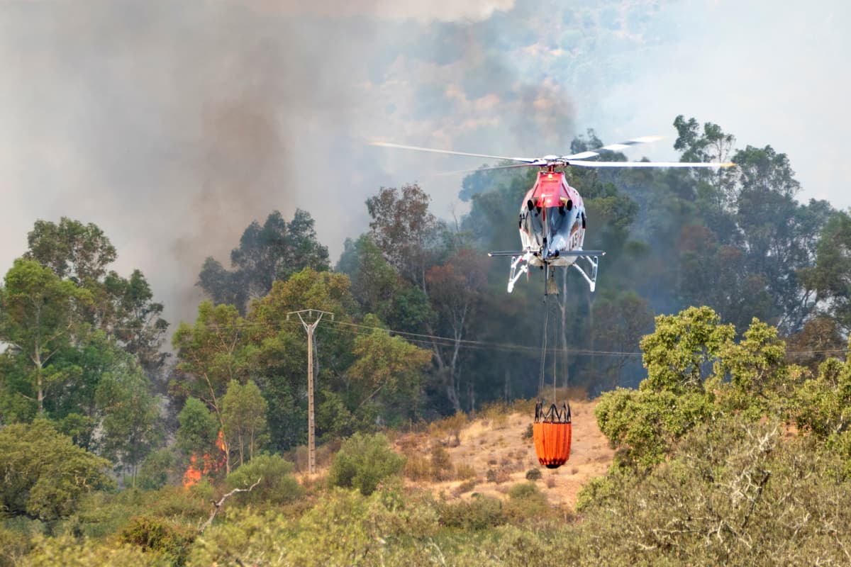 Incendios en España: La mayor devastación forestal en la UE