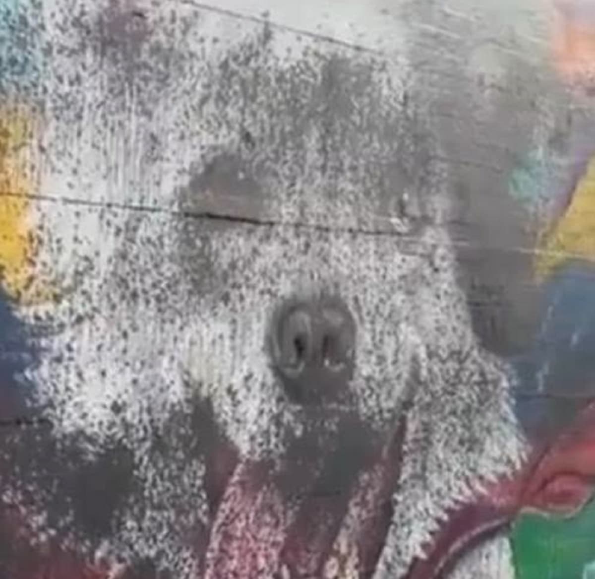 Ataques al arte: Vandalizan mural de Tsunami por segunda vez en Caracas