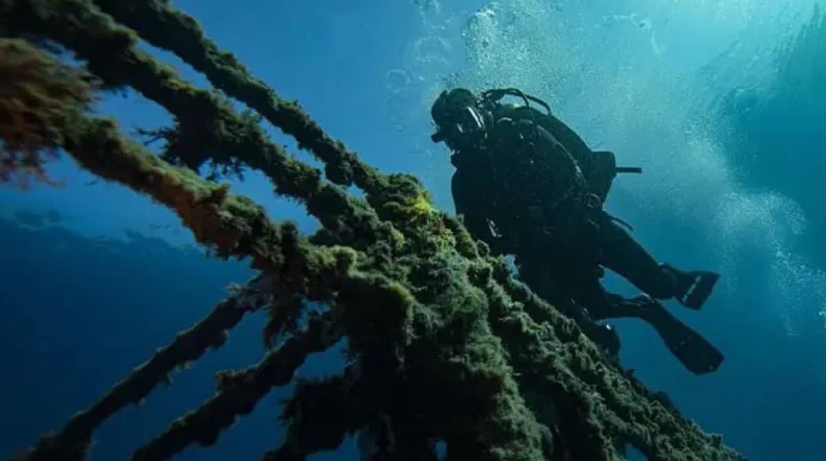 Buques varados en el estrecho de Ormuz: un riesgo para la biodiversidad marina