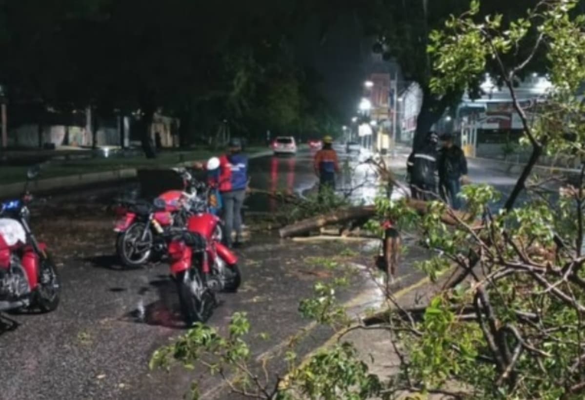Onda Tropical 37 causa inundaciones y caída de árboles en Aragua