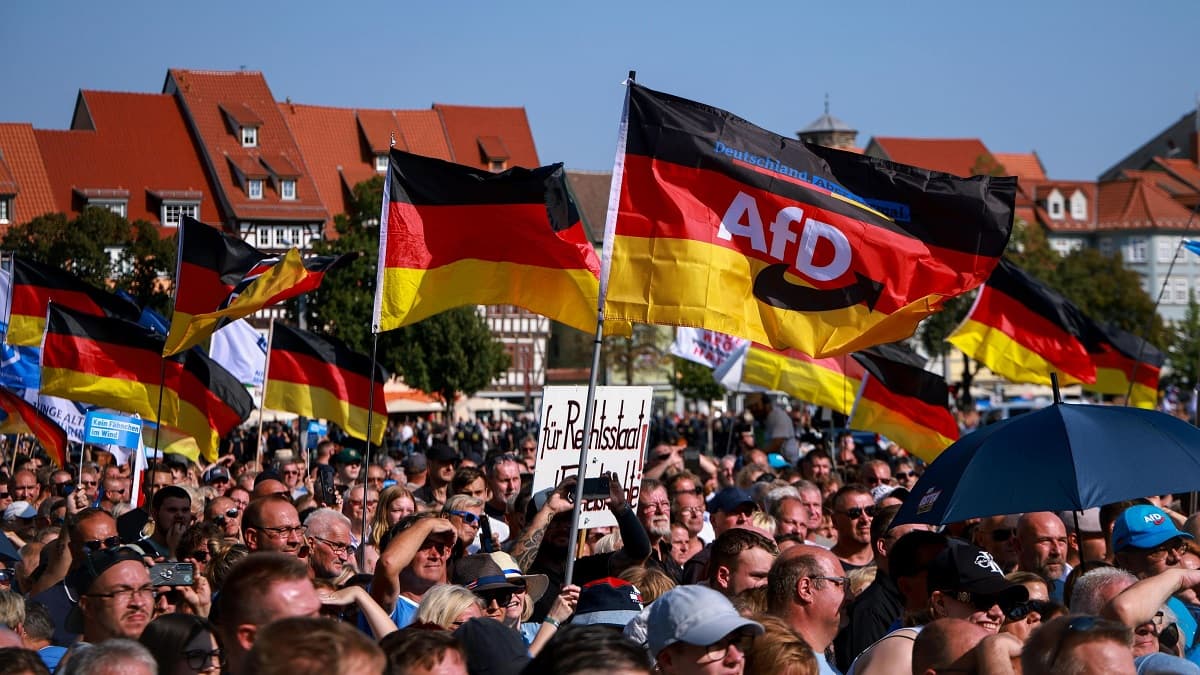 Alemanes ven a AfD como un peligro para la democracia