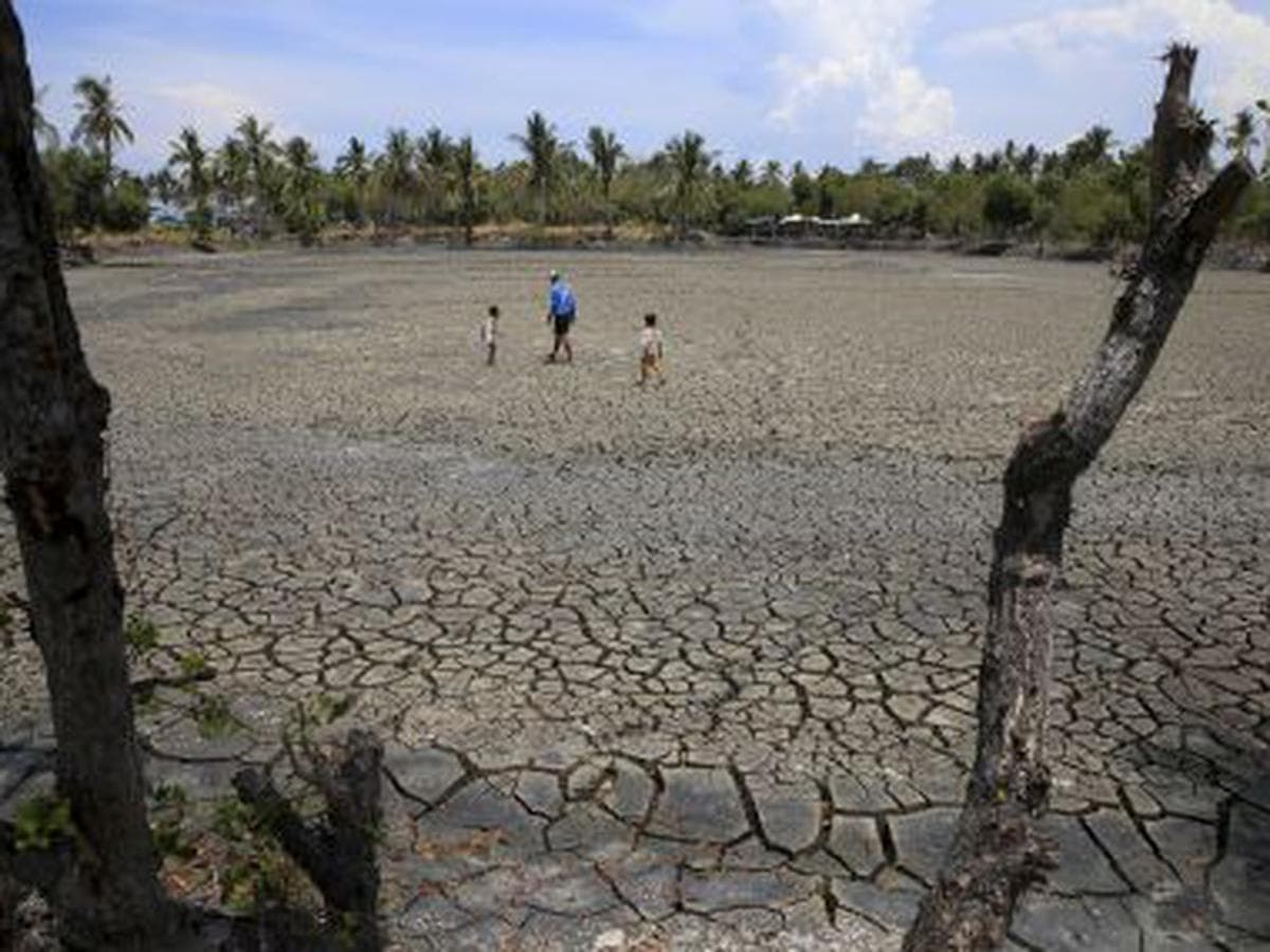 El fenómeno de El Niño y su impacto en la seguridad alimentaria en América Latina