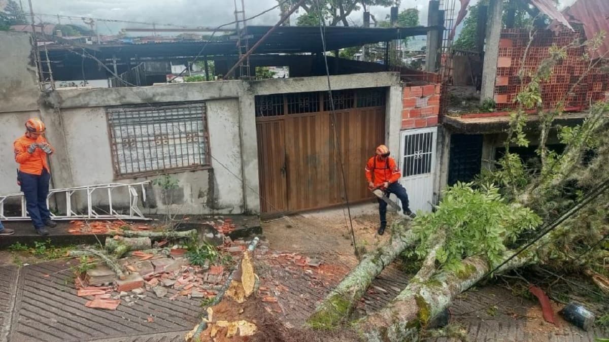 Desprendimiento de techos y daños estructurales por viento en Táchira