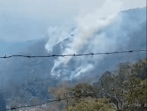 Sabaneta en crisis: Incendio forestal activo por cinco días exige acción urgente