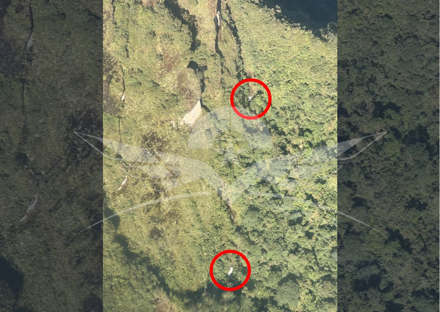 Rescatan avioneta siniestrada en Colombia con cinco personas a bordo
