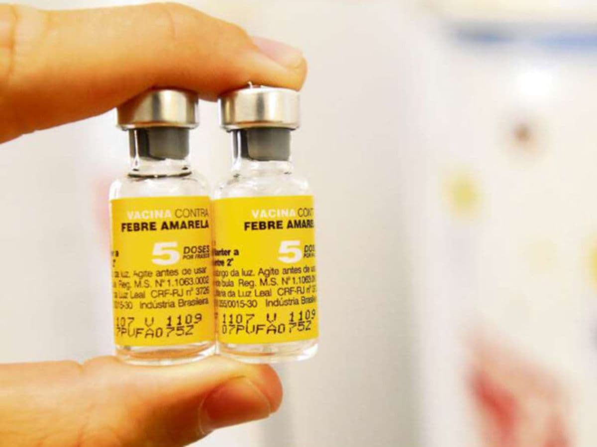 Fiebre amarilla en Venezuela: Vacunas y datos cruciales que necesitas saber