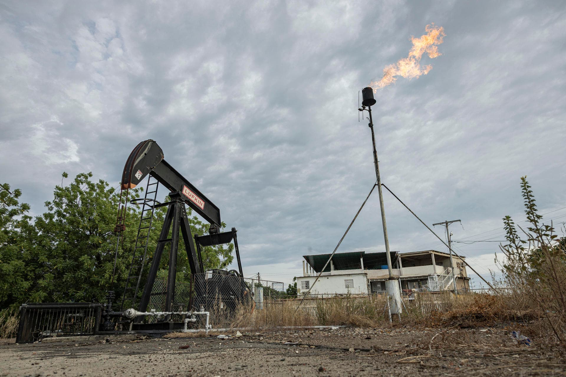 OPEP+ Mantiene Producción Estable Tras Desafíos en Exportaciones