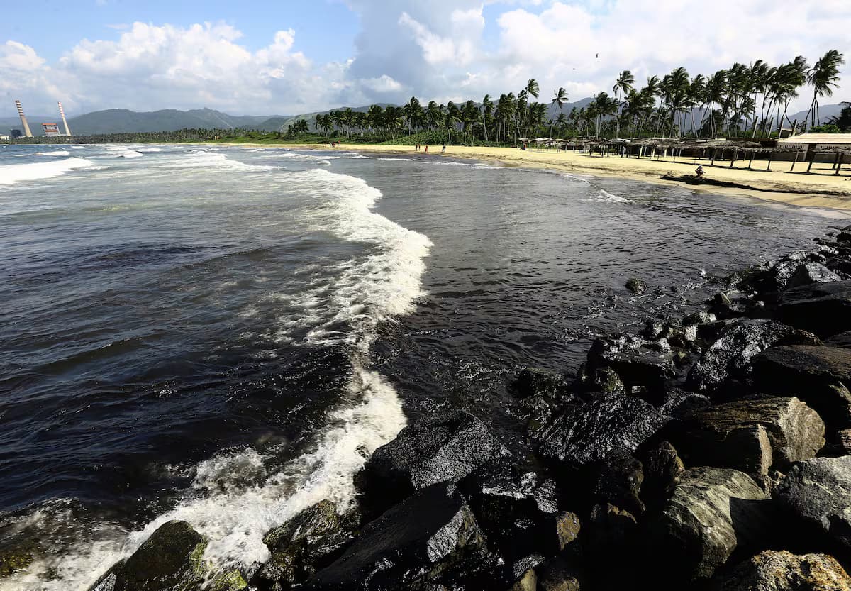 Pérdida de Aves Marinas en Venezuela: Derrames Petroleros en Crisis