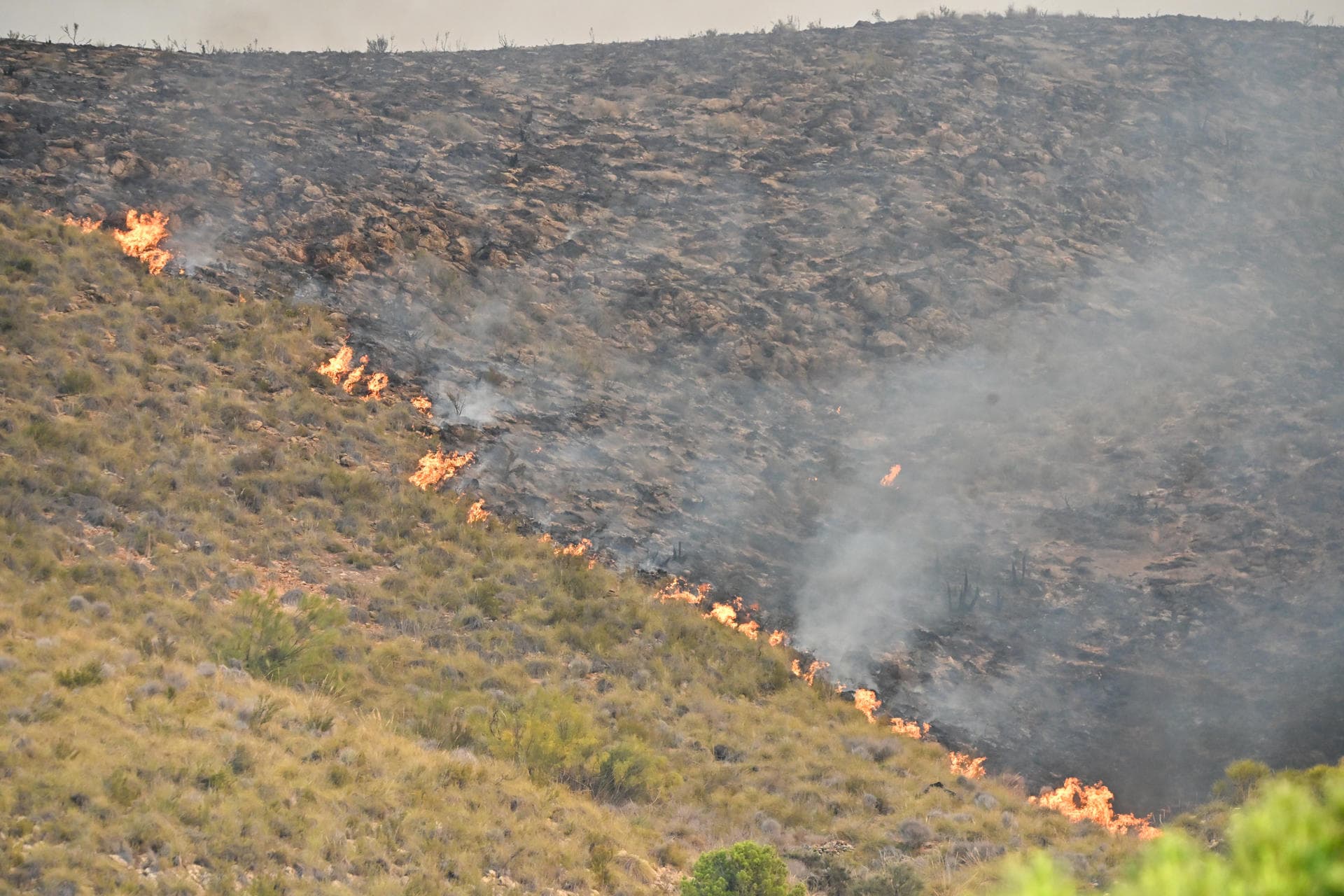 Incendio en Andalucía deja 12 muertos y 8 heridos: Una tragedia devastadora