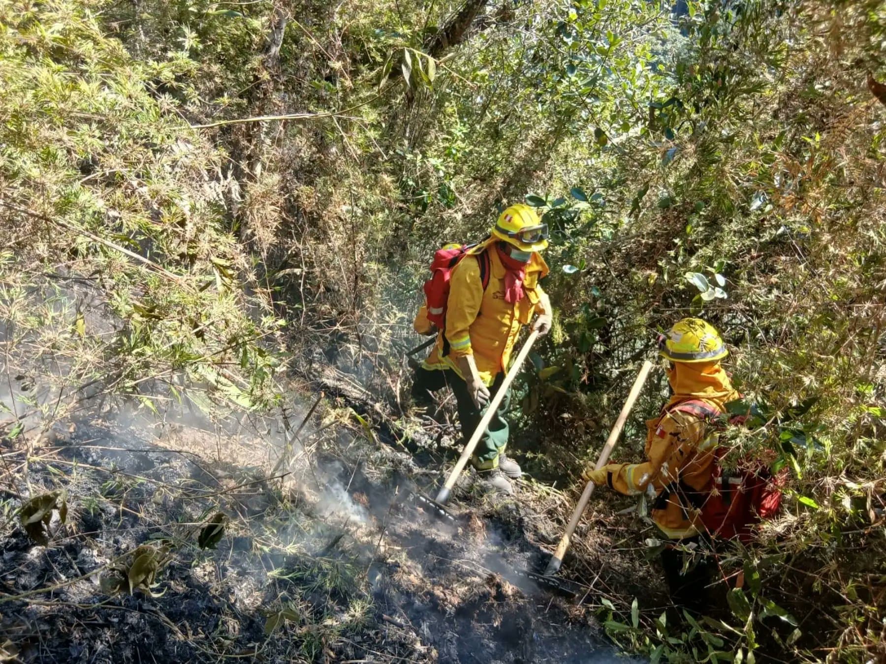Machu Picchu en crisis: Impacto de un feroz incendio forestal